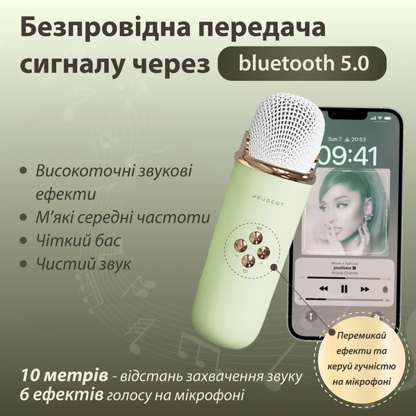 Колонка портативна з мікрофоном C-20 BT/TF/USB/FM 5 Вт Зелений C20GR C20GR фото