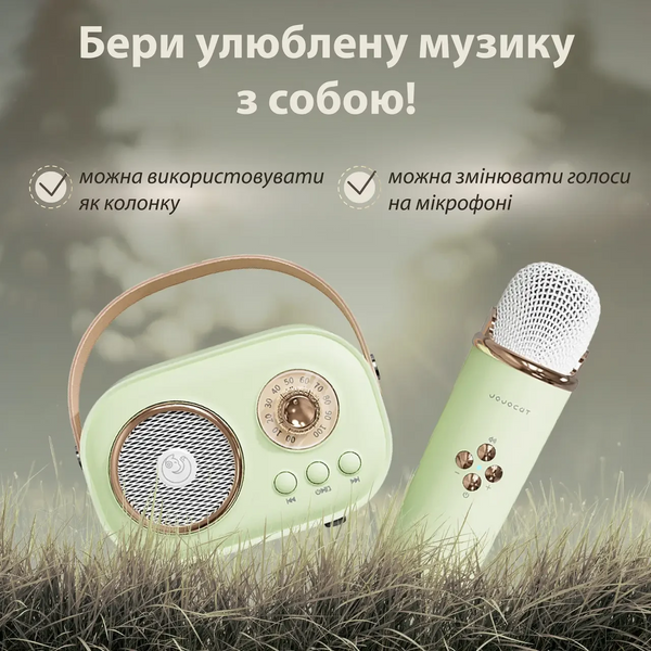 Колонка портативна з мікрофоном C-20 BT/TF/USB/FM 5 Вт Зелений C20GR C20GR фото