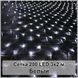 Гирлянда светодиодная Сетка 200 LED 3х2м 2124073 фото 1