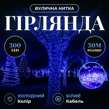 Гирлянда Нить уличная 30 м 300 LED белый провод Синий CF300L30MWBL фото