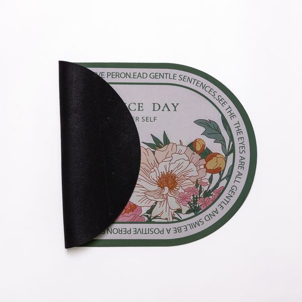 Діатомітовий овальний килимок Have A Nice Day 38&times;58 (см) вологопоглинальнючий HP-42-59 HP-42-59 фото