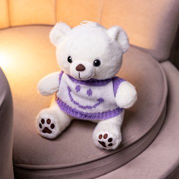Мягкая игрушка-брелок Мишка в фиолетовом свитере 20 см плюшевый мишка Colorful Home Білий 509-28WV фото
