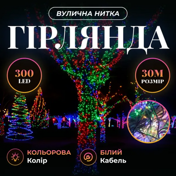 Гирлянда Нить уличная 30 м 300 LED белый провод Мультиколор CF300L30MWML фото