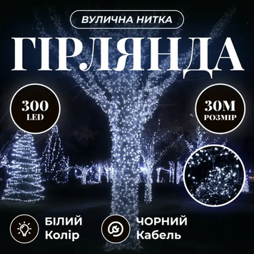 Гирлянда Нить уличная 30 (м) 300 LED черный провод Белый CF300L30MBW фото