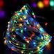 Новогодние гирлянды медная проволочная лампа 100LED 10М БП 5В 220V (СП) RGB RD-7110 mu13811 фото 3