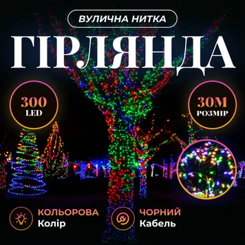 Гирлянда Нить уличная 30 (м) 300 LED черный провод Мультиколор CF300L30MBML фото
