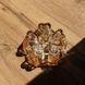 Стеклянная подставка для заварочного чайника 14 см из боросиликатного стекла для подачи чая напитков Yiwu Прозрачный HP-34-126 фото 2